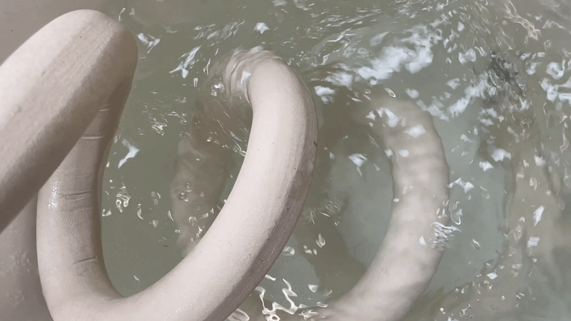 Maika Garnica, January 2026